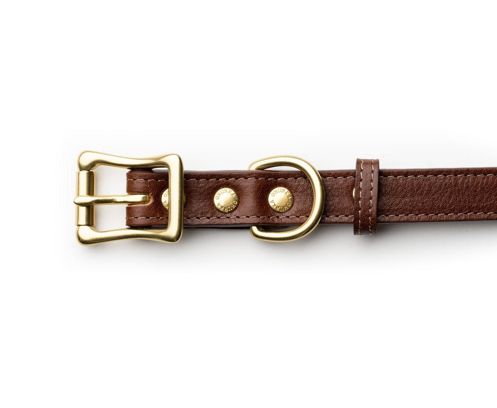 Dog Collar | Vintage Chestnut Leather - Ghurka