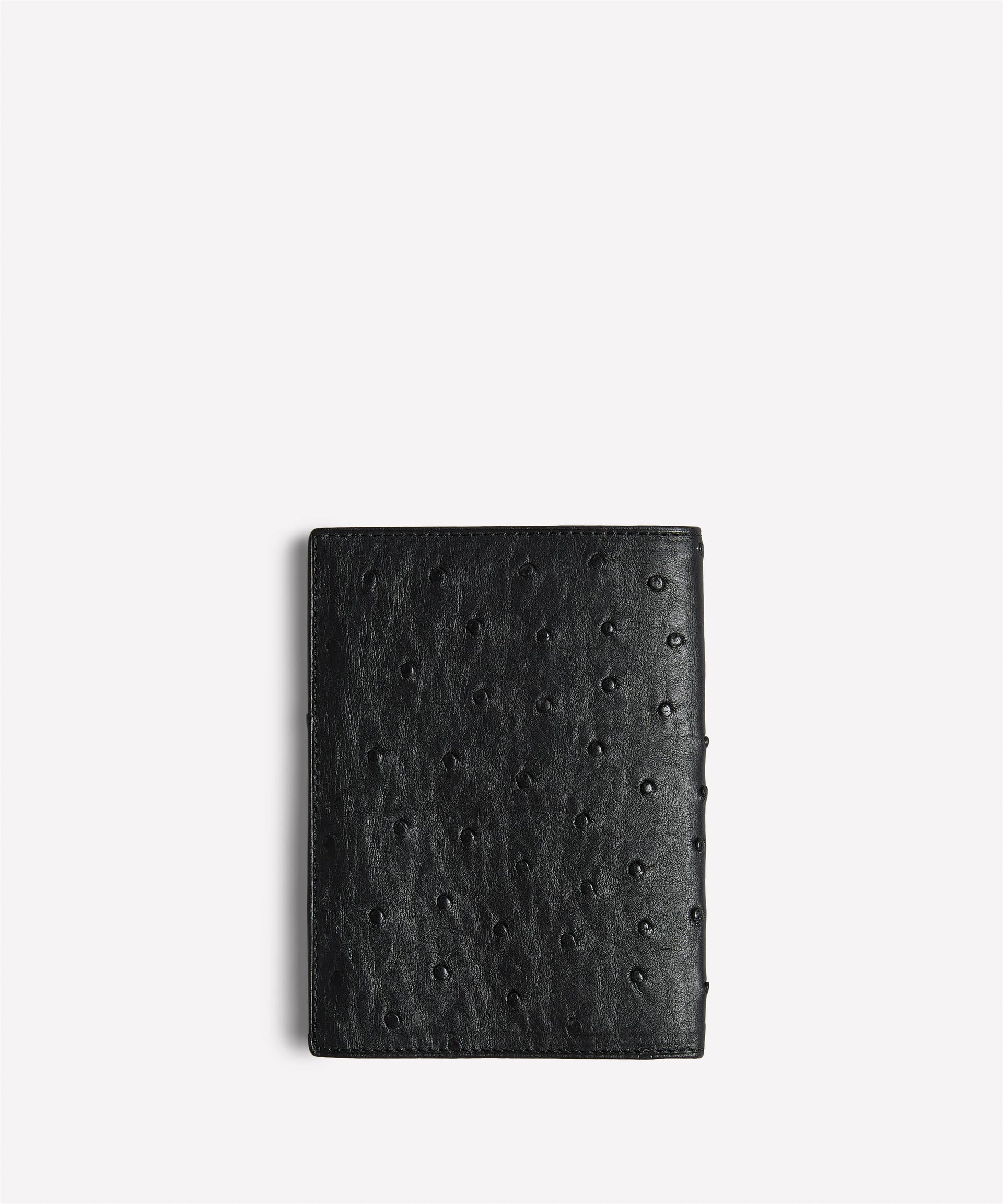 Passport Case
