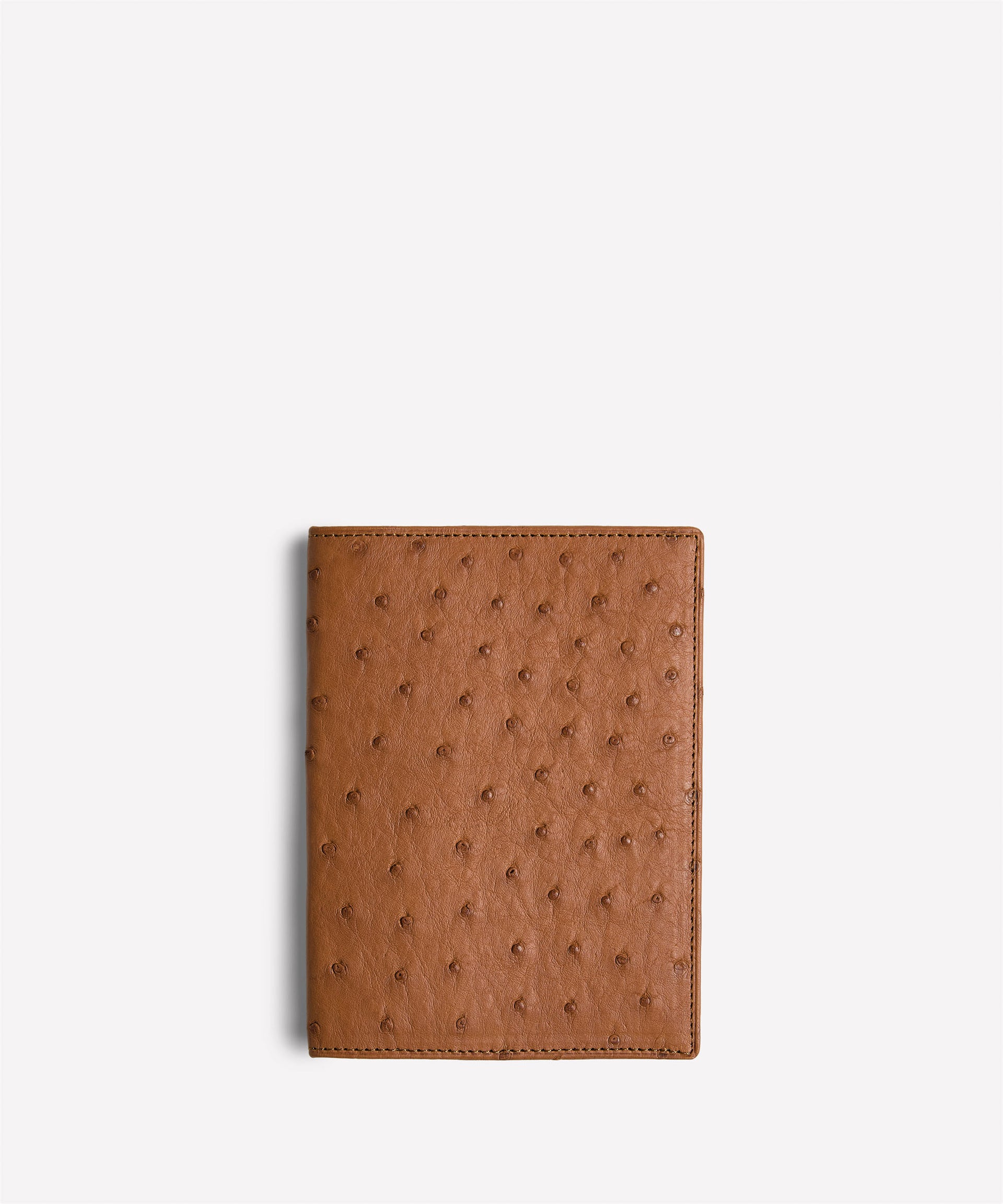 Passport Case