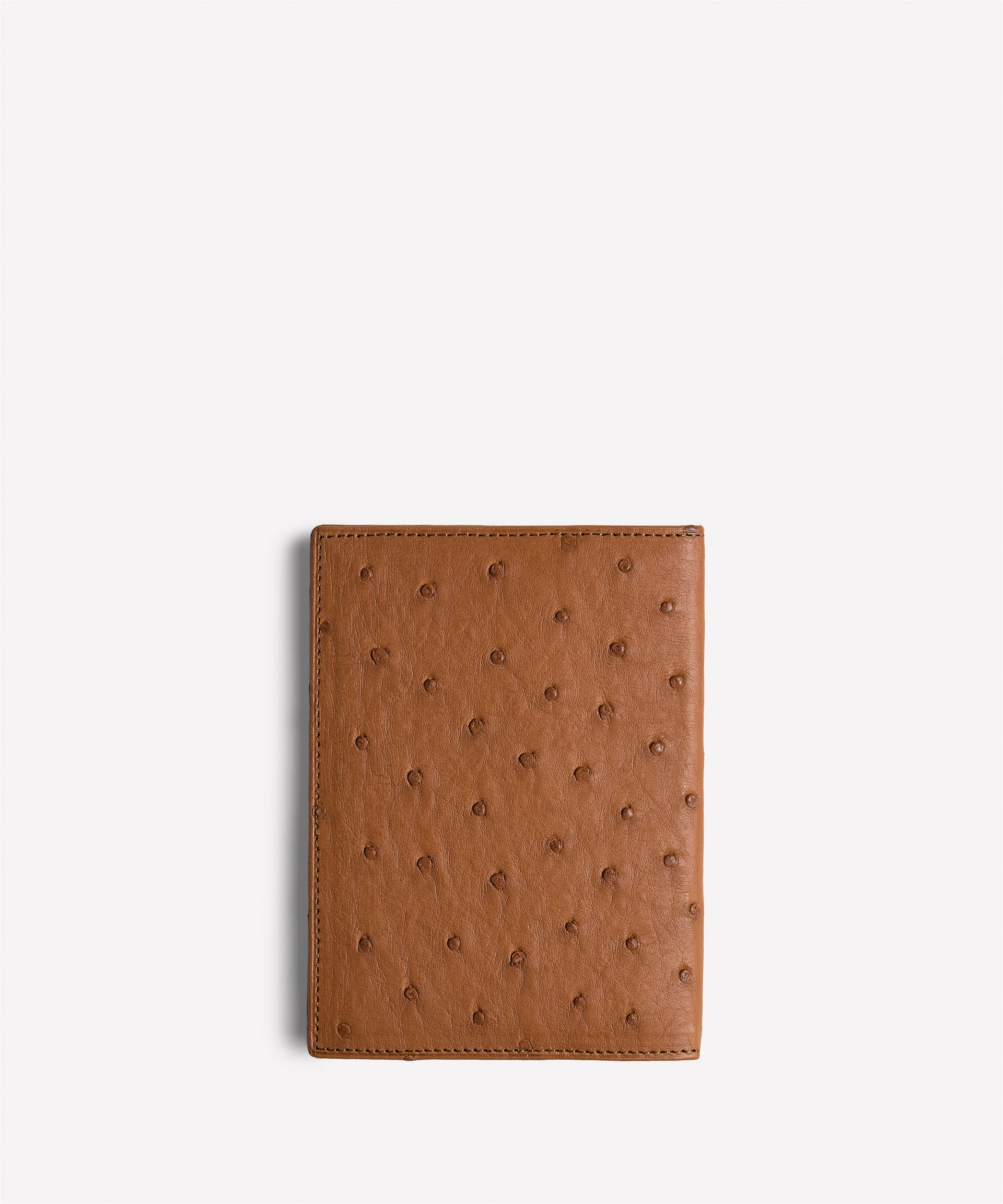 Passport Case