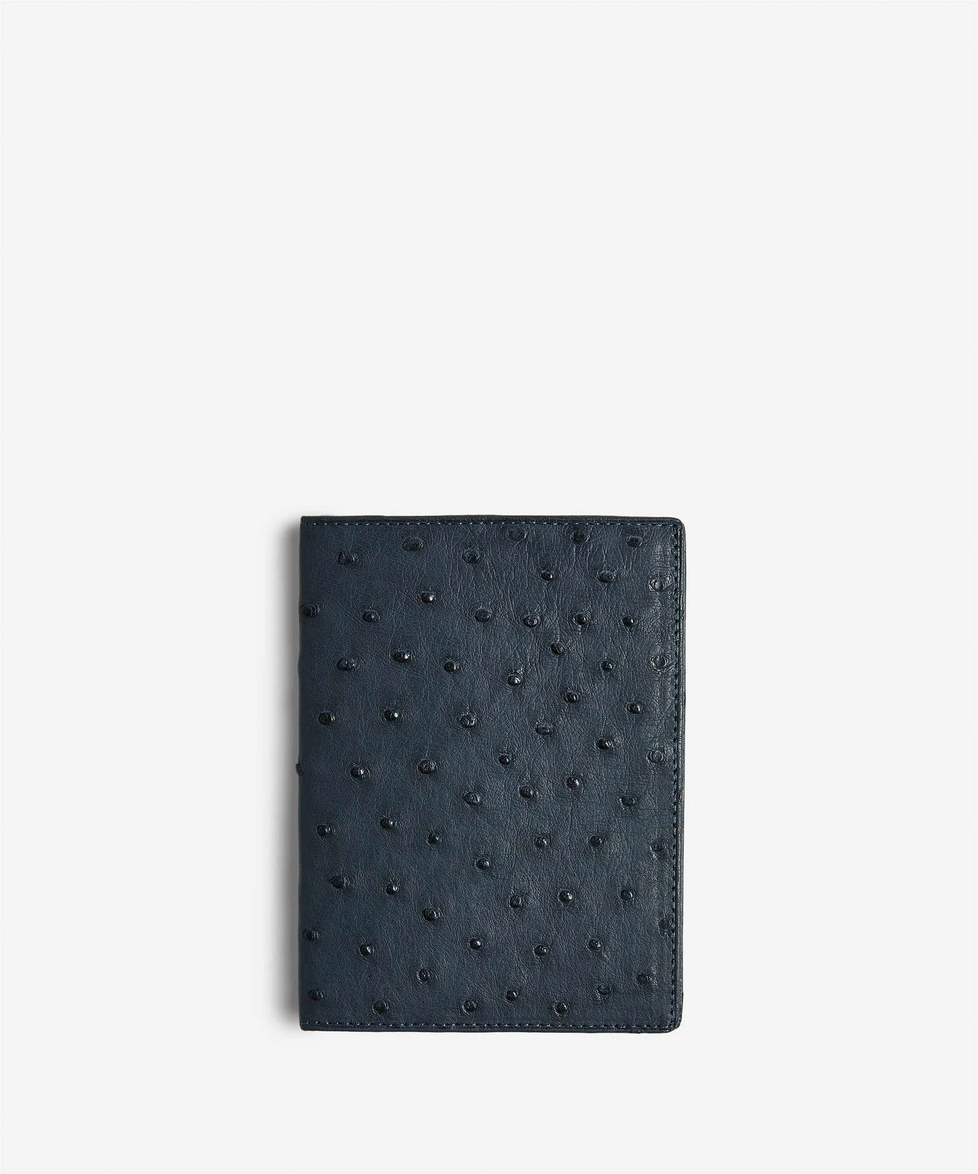 Passport Case