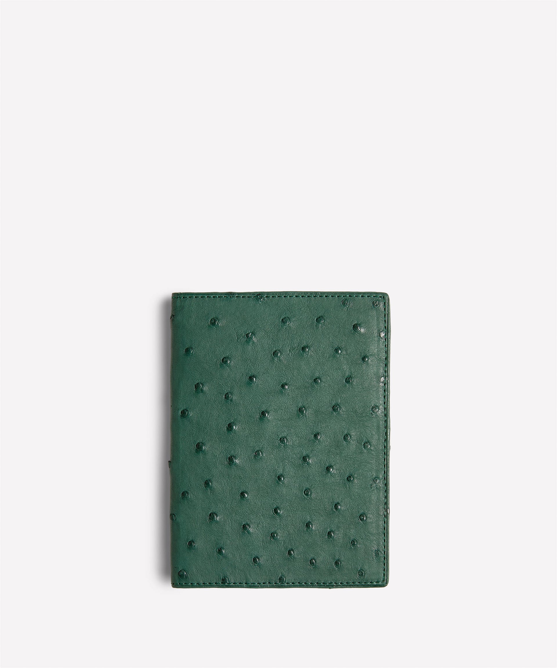 Passport Case