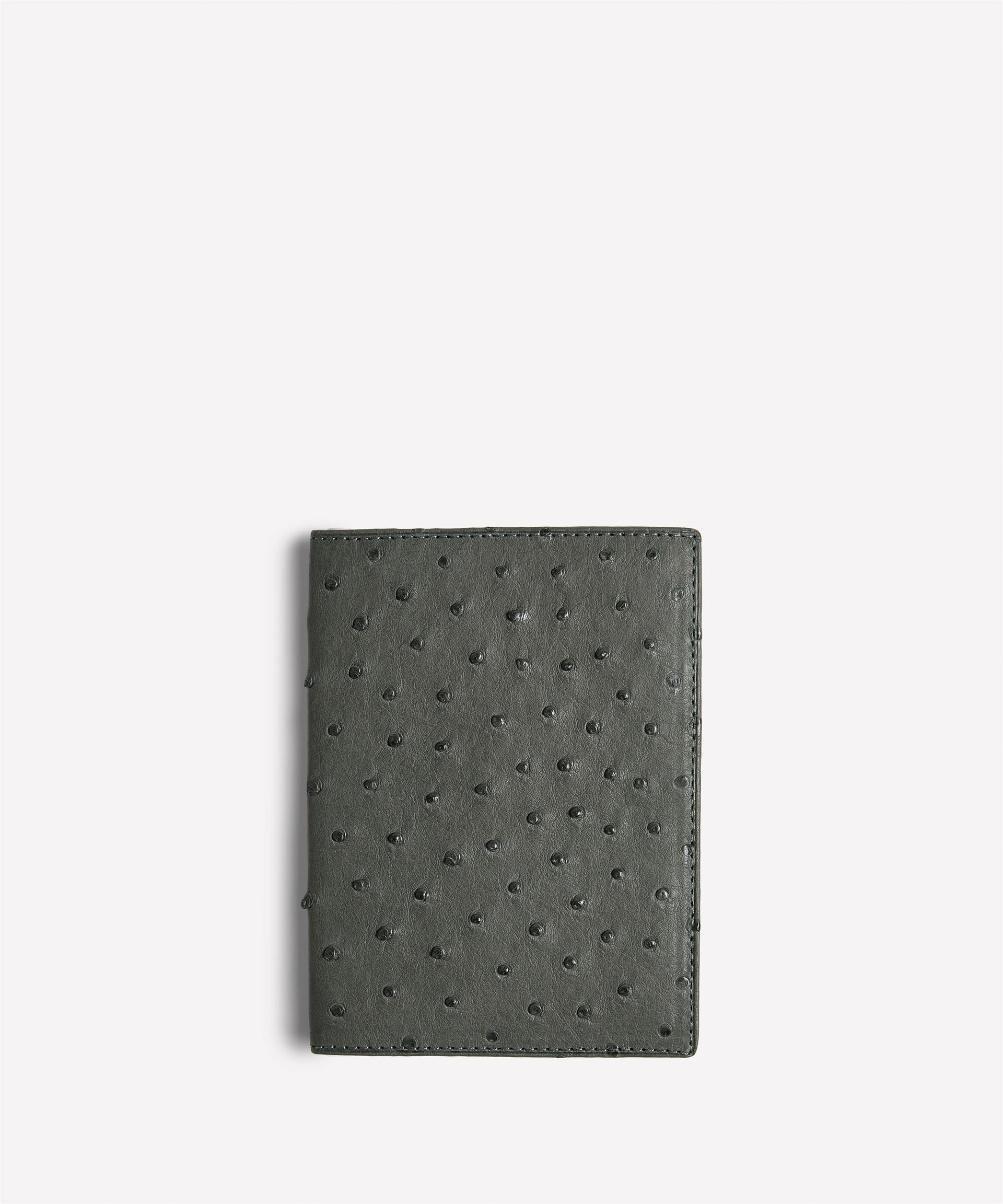 Passport Case