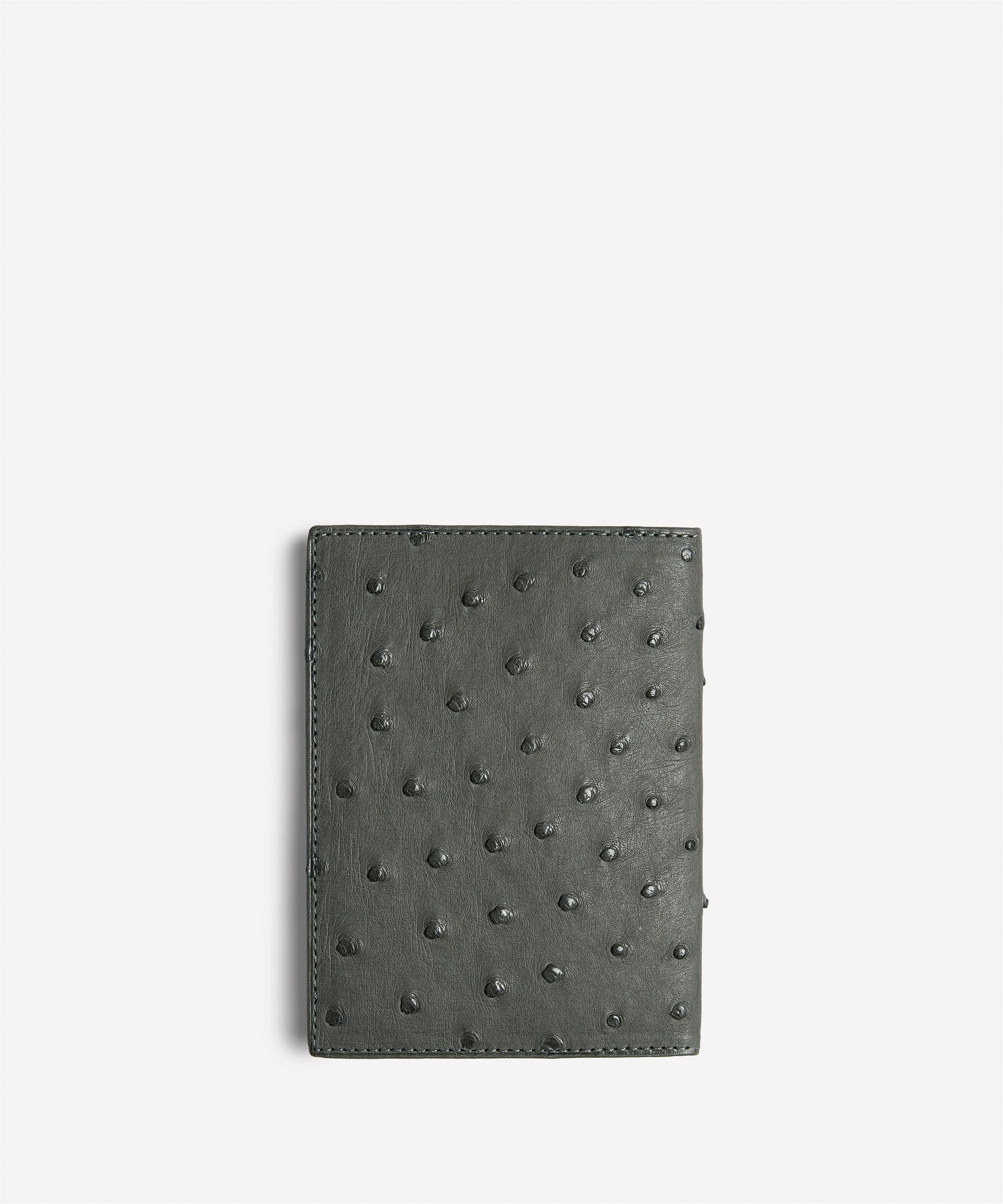 Passport Case