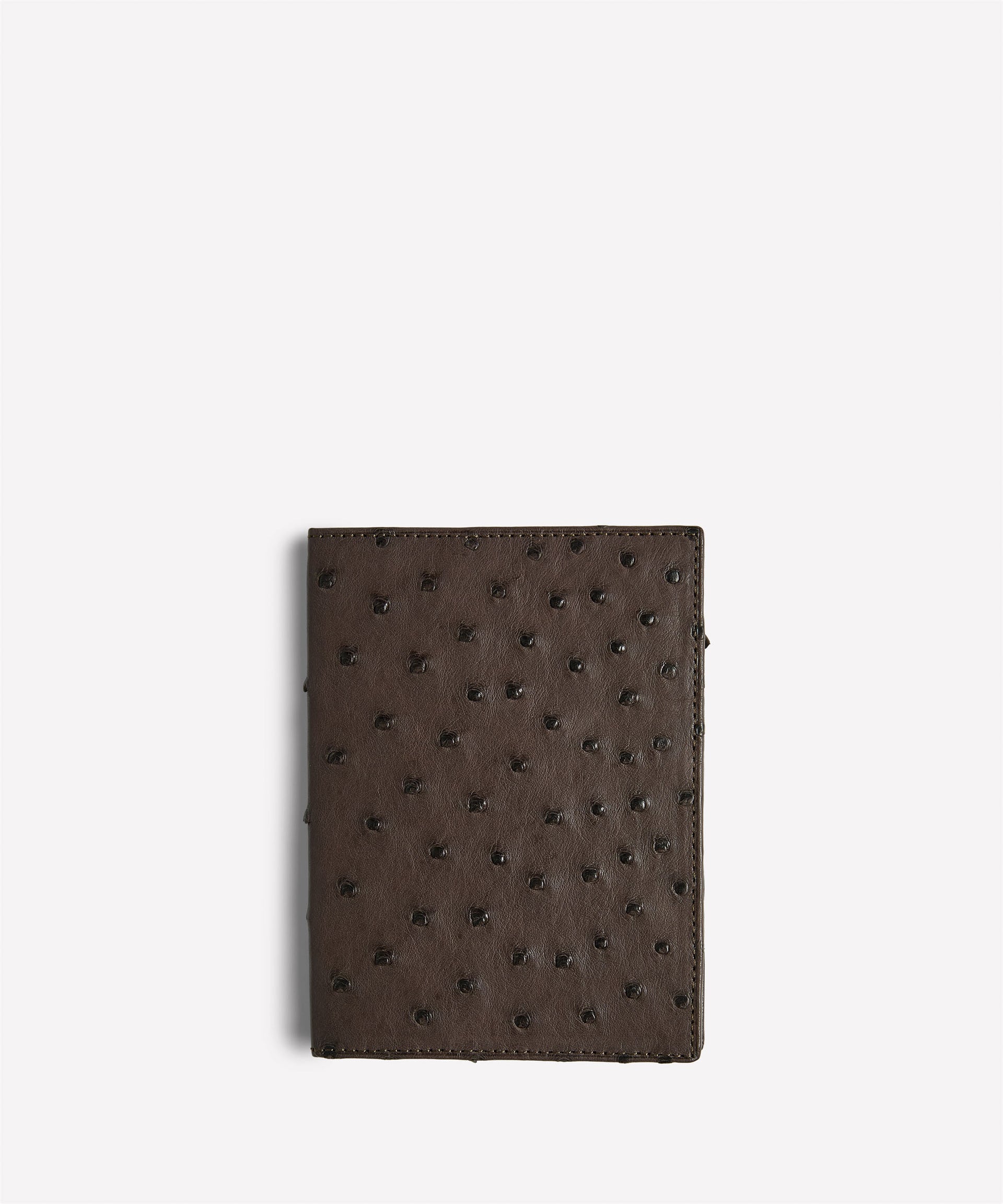 Passport Case