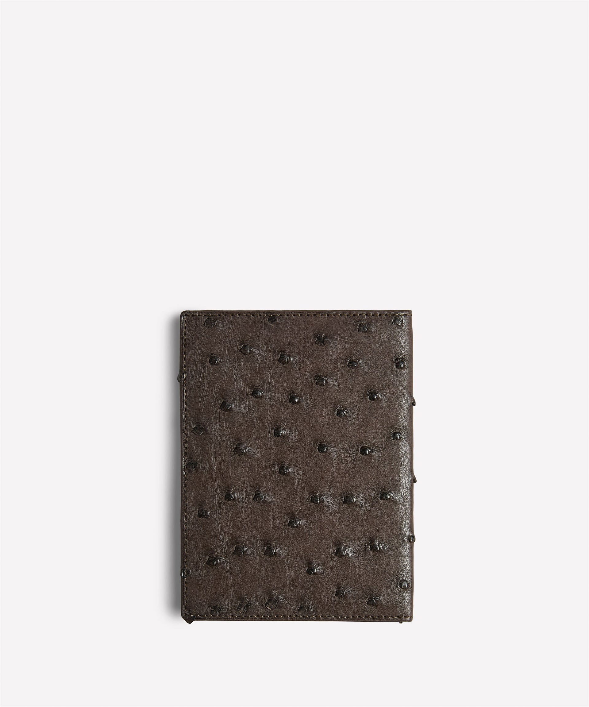 Passport Case